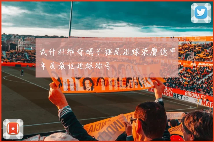武什科维奇蝎子摆尾进球荣膺德甲年度最佳进球称号